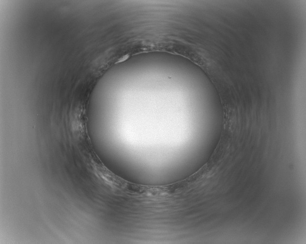 X0000053090770200507251604