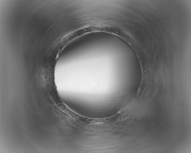 X0000053090773200507251604