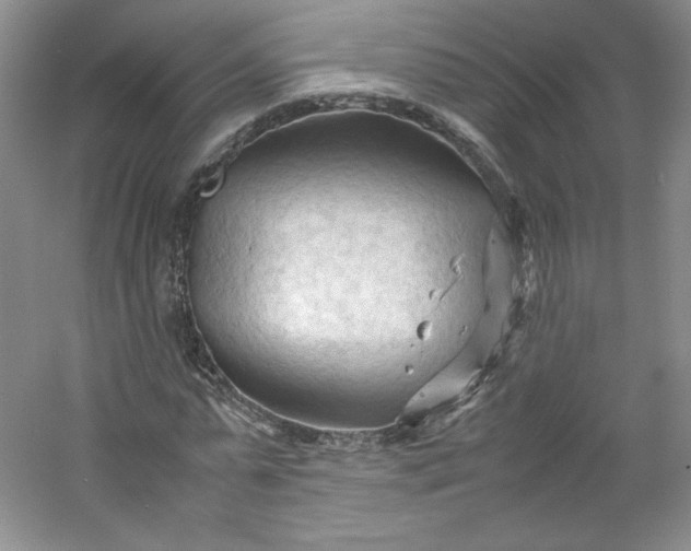 X0000053090775200507251603