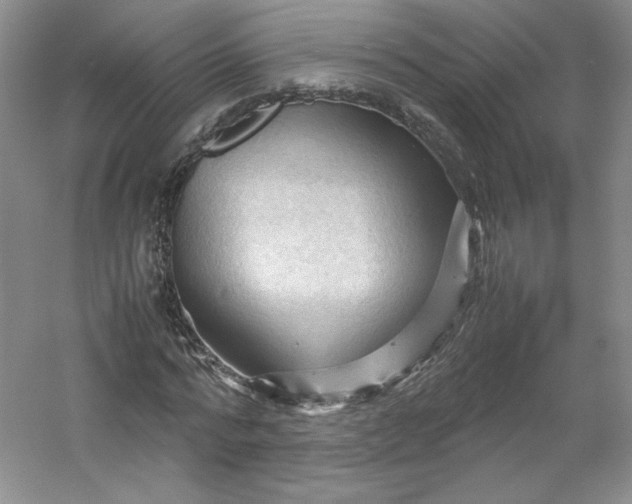 X0000053090776200507251603