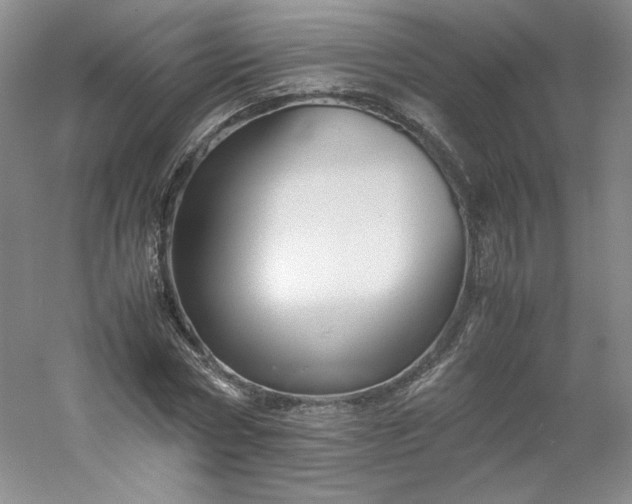 X0000053090778200507251603