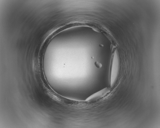 X0000053090779200507251603