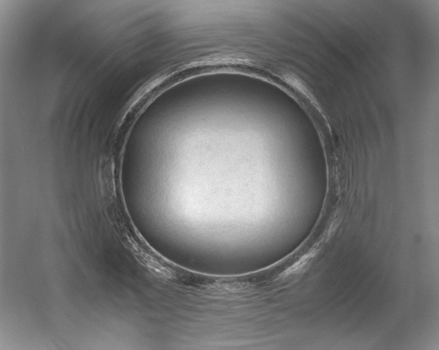 X0000053090781200507251603