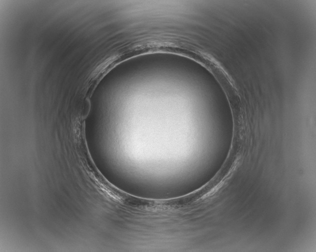 X0000053090785200507251603