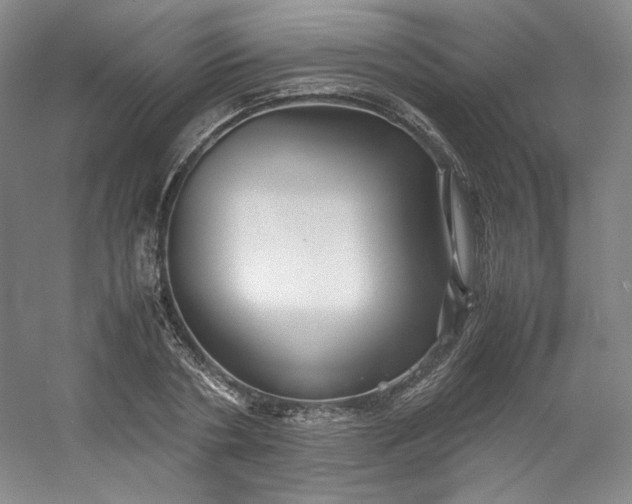 X0000053090786200507251603