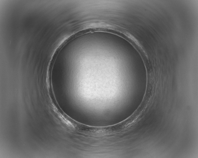 X0000053090791200507251603