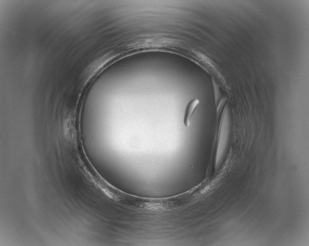 X0000053090794200507251603