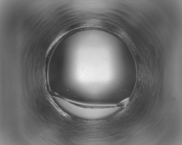 X0000053090796200507251603