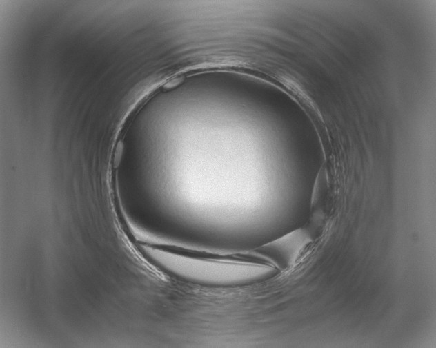 X0000053090797200507251603