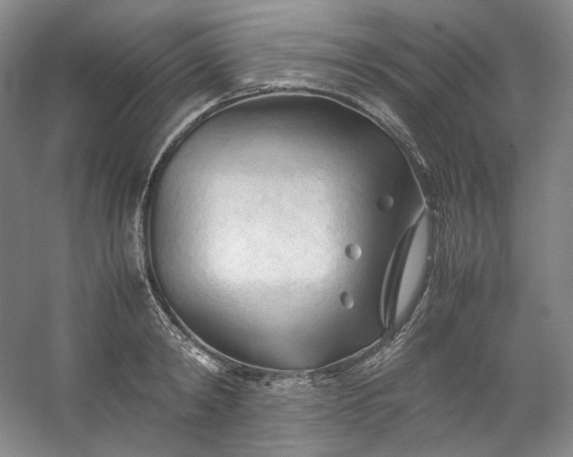 X0000053090798200507251603