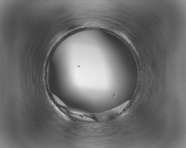 X0000053090799200507251603