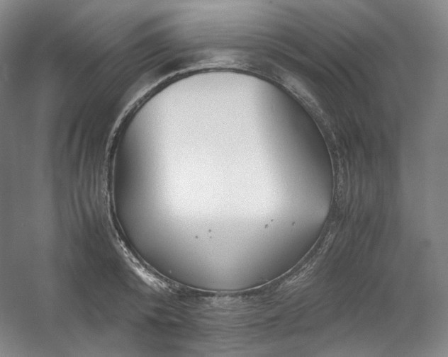 X0000053090800200507251603