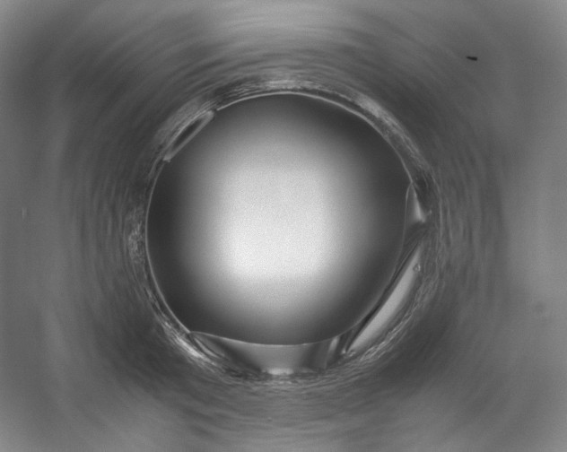 X0000053090801200507251603