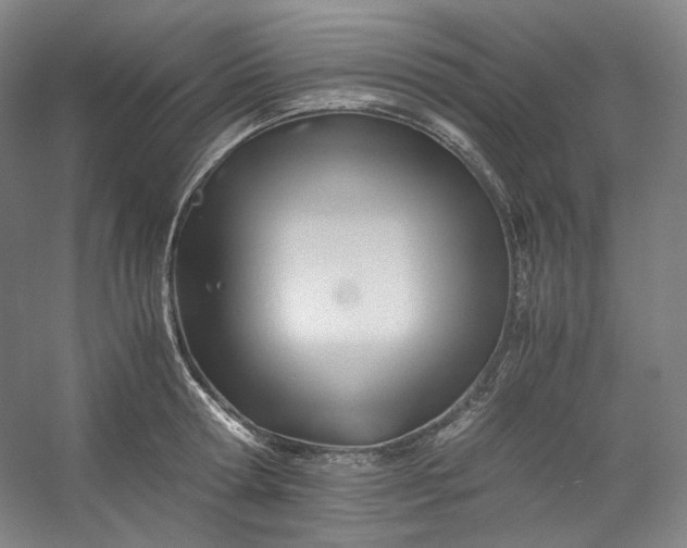 X0000053090802200507251603