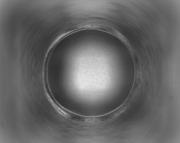 X0000053090803200507251603