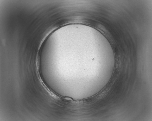 X0000053090804200507251603