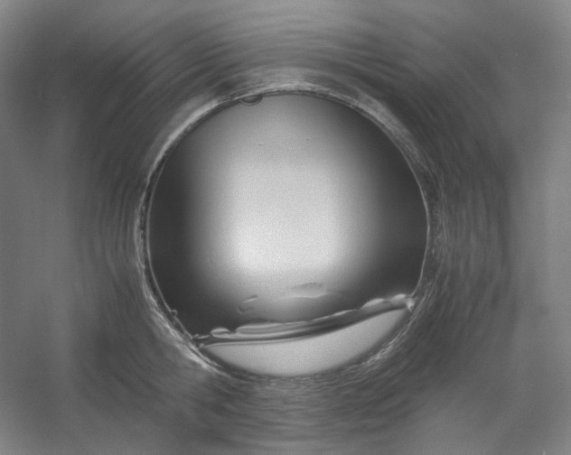 X0000053090806200507251603