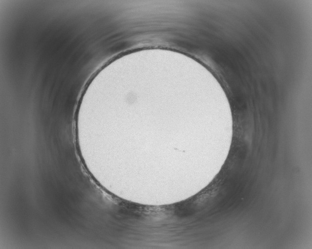 X0000053090807200507251603