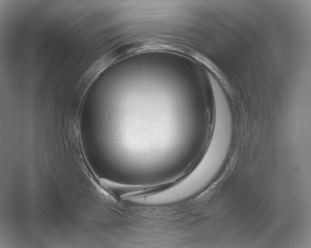 X0000053090809200507251603