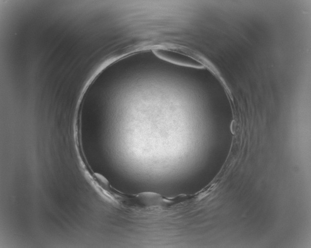 X0000053090811200507251603