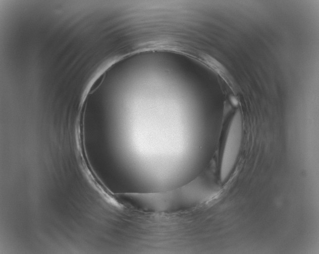 X0000053090812200507251603