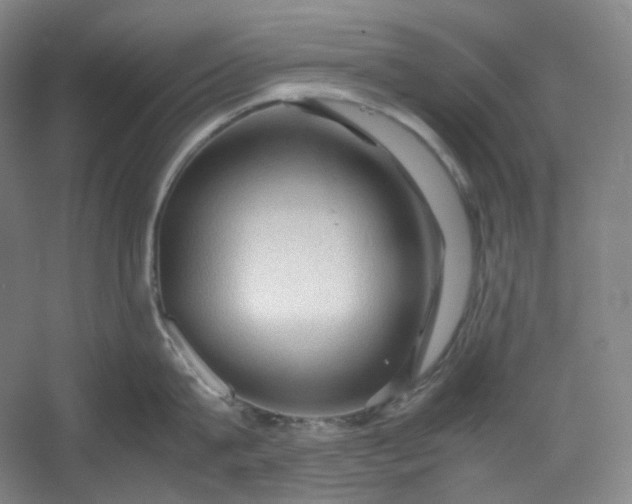 X0000053090815200507251603