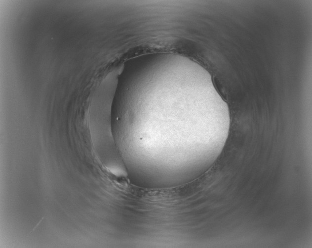 X0000053090817200507251602