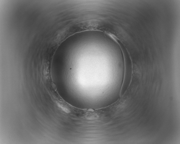 X0000053090818200507251602