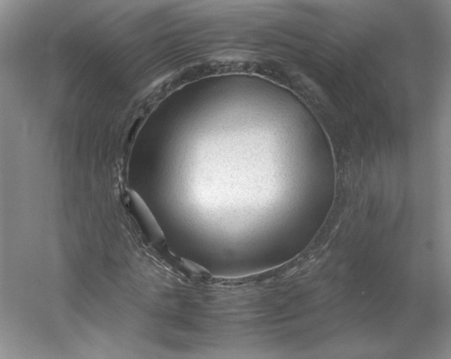 X0000053090821200507251602