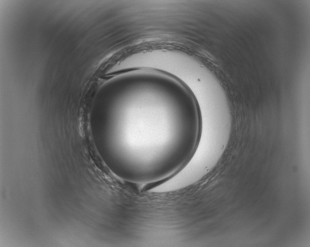 X0000053090822200507251602