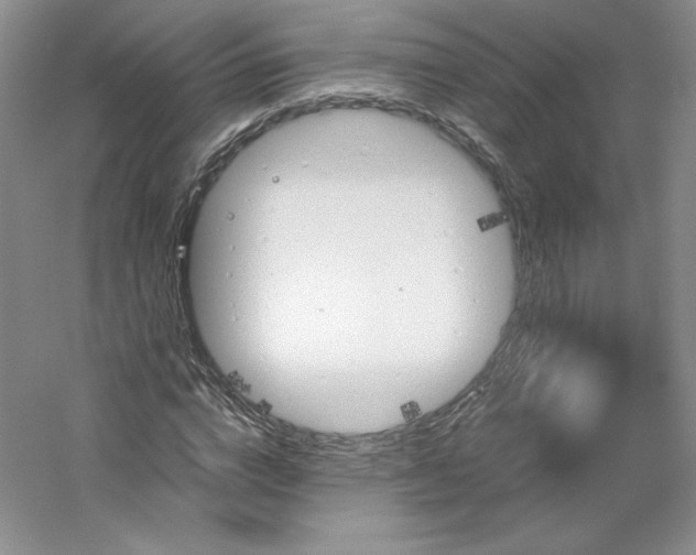 X0000053090824200507251602