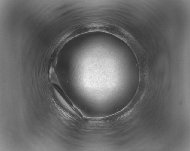 X0000053090825200507251602