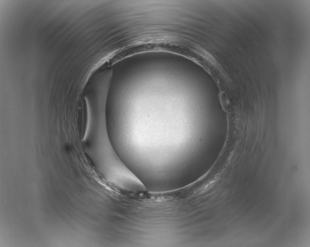 X0000053090826200507251602