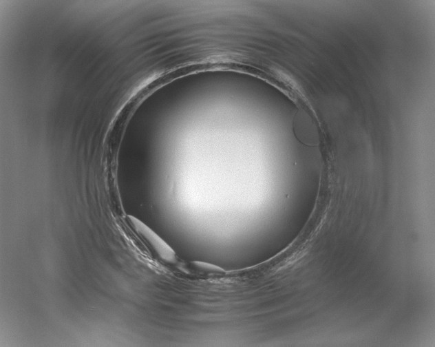 X0000053090827200507251602