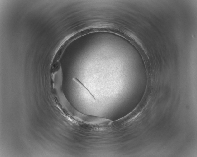 X0000053090829200507251602