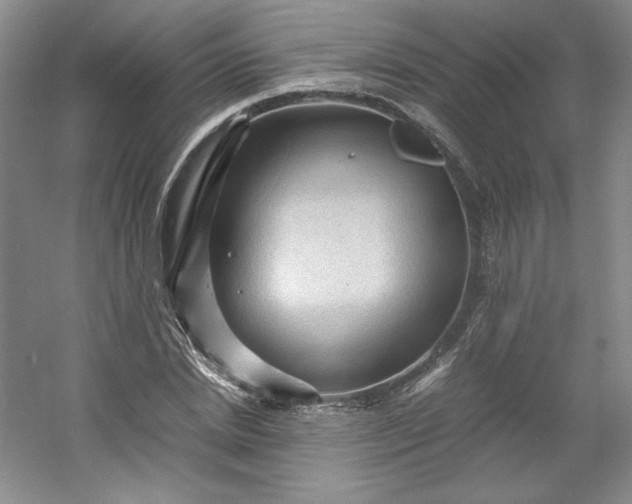 X0000053090830200507251602