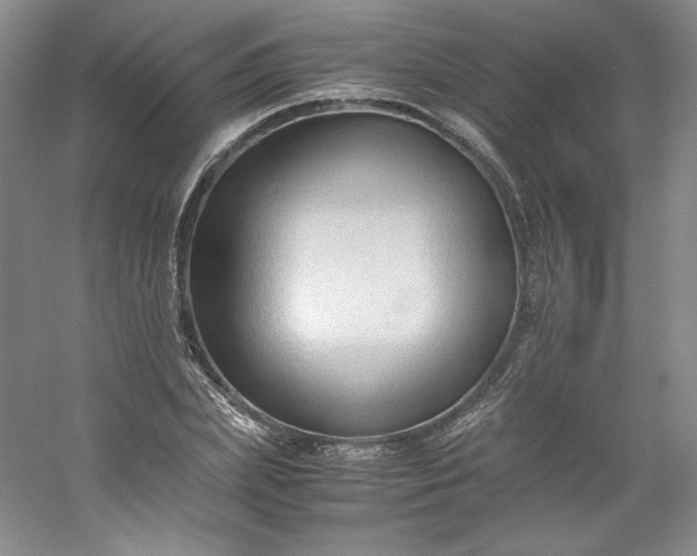 X0000053090831200507251602