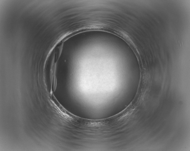 X0000053090835200507251602