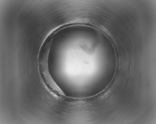 X0000053090838200507251602