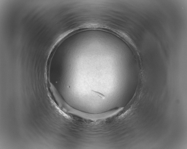 X0000053090839200507251602