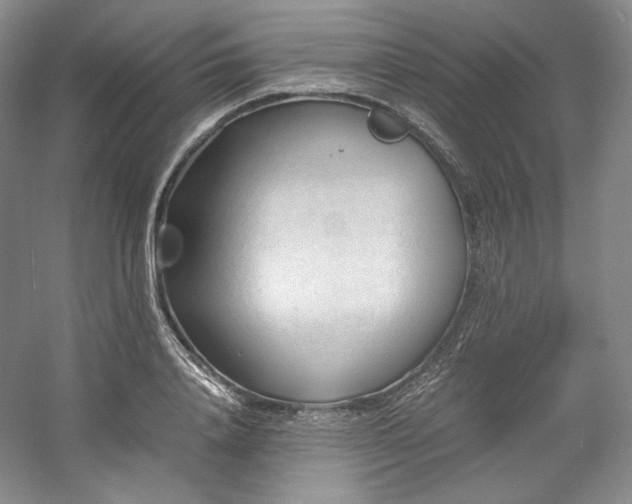 X0000053090840200507251602