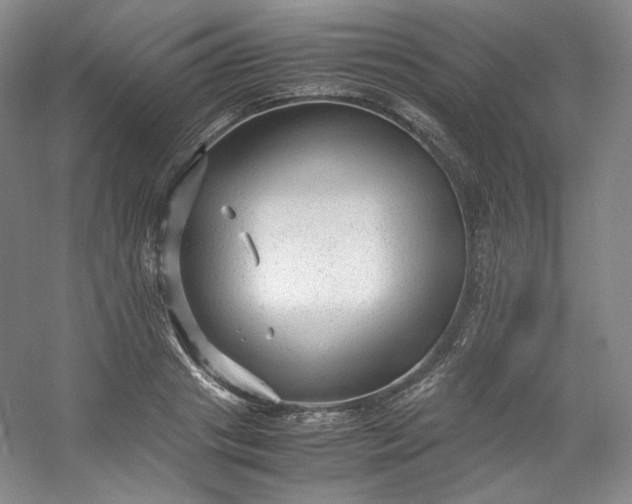 X0000053090841200507251602