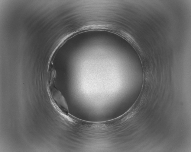 X0000053090844200507251602