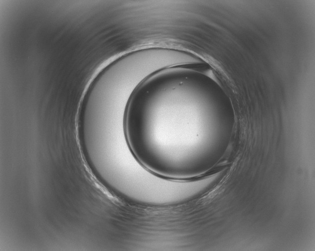 X0000053090846200507251602