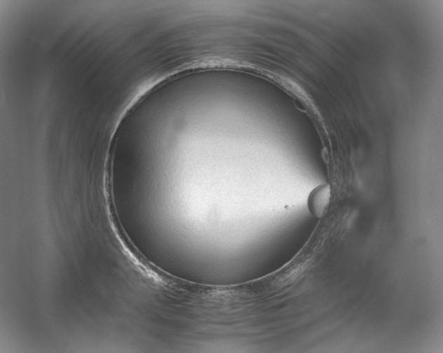 X0000053090847200507251602