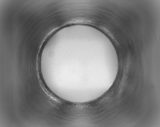 X0000053090848200507251602