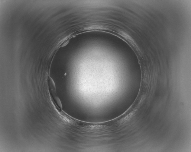 X0000053090849200507251603