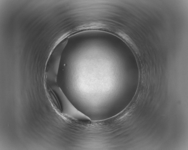 X0000053090850200507251603