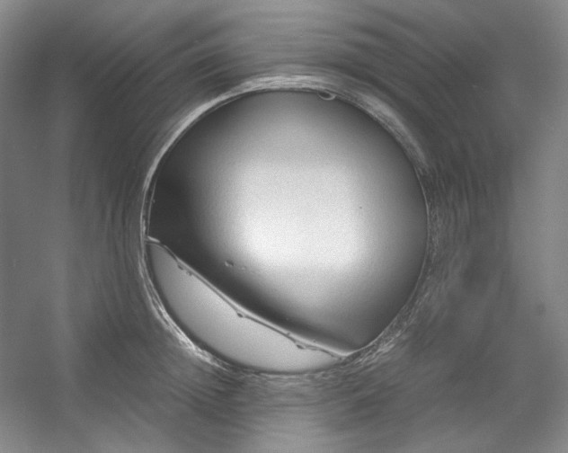 X0000053090852200507251603