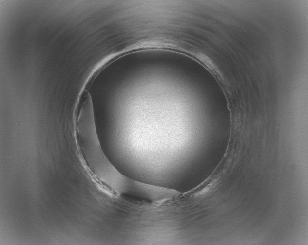 X0000053090854200507251603